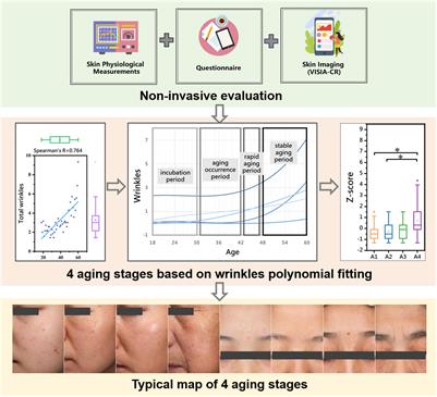 Facial Skin Aging Stages in Chinese Females